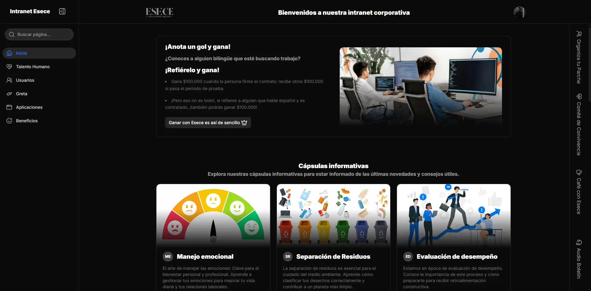 Captura del proyecto